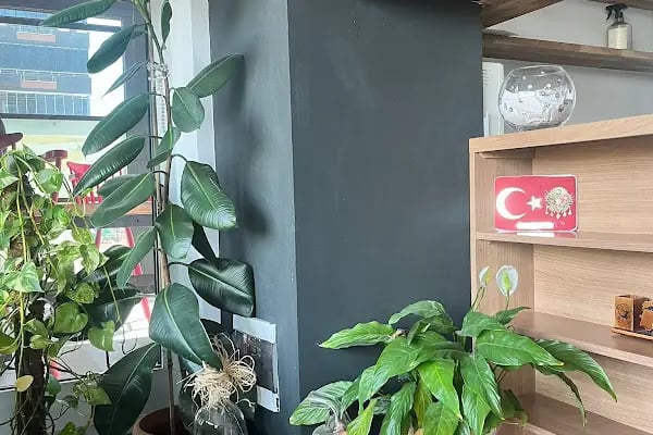 Özel Oral Çınar Ağız ve Diş Sağlığı Polikliniği - Resim 16