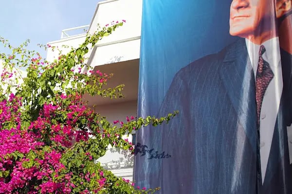 Zeytin Ağacı Okulu| Bodrum - Resim 8