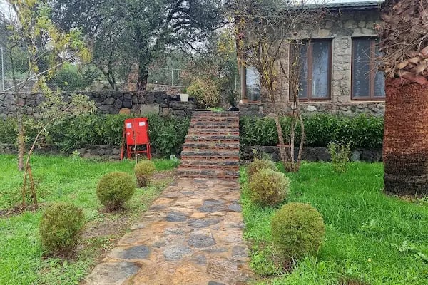 Zeytin Ağacı Okulu| Bodrum - Resim 15