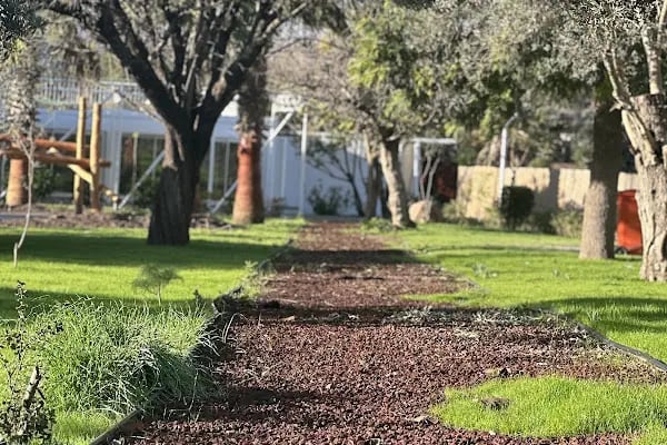Zeytin Ağacı Okulu| Bodrum - Resim 6