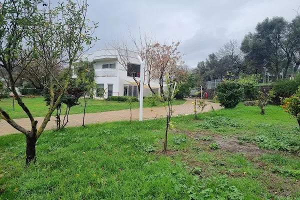 Zeytin Ağacı Okulu| Bodrum - Resim 3