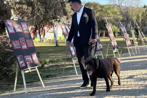 Zeytin Ağacı Okulu| Bodrum - Resim 5