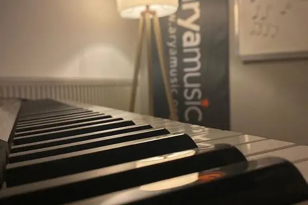 T.C. MEB Özel Eryaman Arya Sanat Merkezi Müzik Kursu - Resim 5