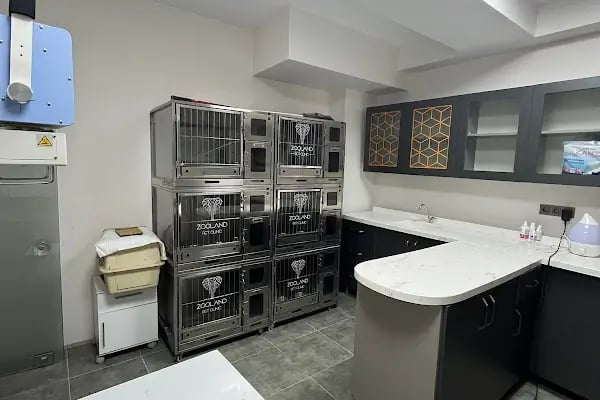 Fee Veteriner Cerrahi Kliniği Özlüce Bursa - Resim 11