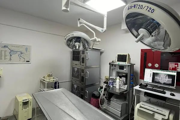 Fee Veteriner Cerrahi Kliniği Özlüce Bursa - Resim 4