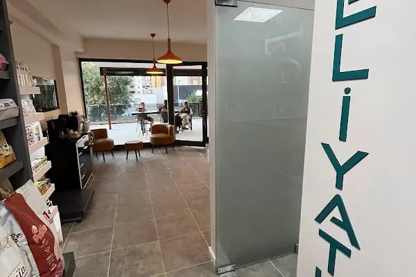 Fee Veteriner Cerrahi Kliniği Özlüce Bursa - Resim 9