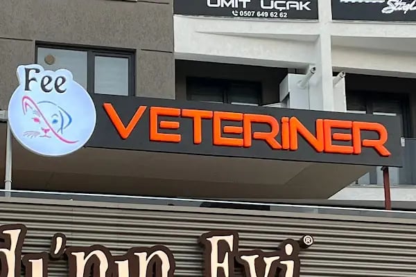 Fee Veteriner Cerrahi Kliniği Özlüce Bursa - Resim 10