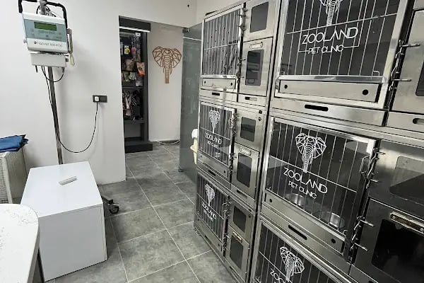 Fee Veteriner Cerrahi Kliniği Özlüce Bursa - Resim 13