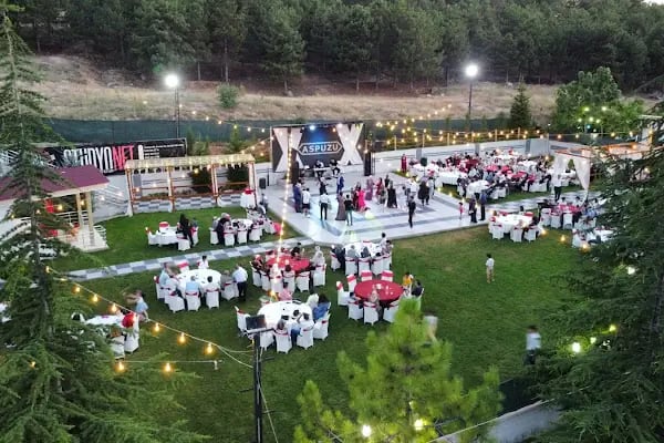 Aspuzu Park Kır Düğün Bahçesi - Resim 3