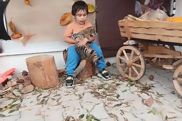 Aden kids oyun evi - Resim 20
