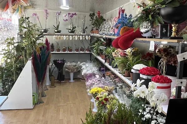 MALATYA PARADOKS ÇİÇEK - Resim 3