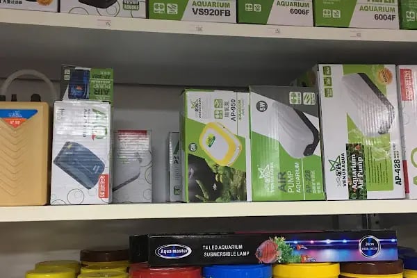 ttpetshopelvankent - Resim 12