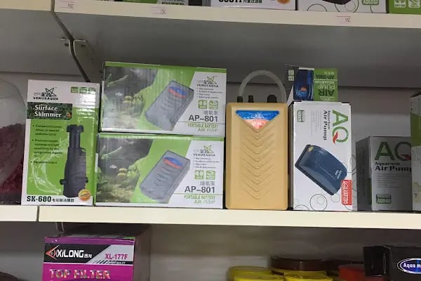 ttpetshopelvankent - Resim 9
