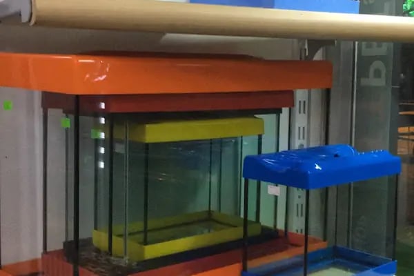 ttpetshopelvankent - Resim 14