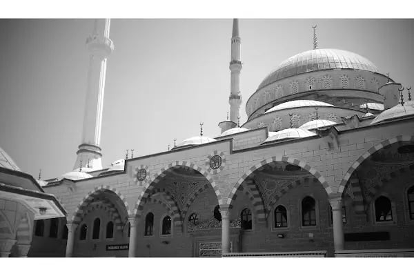 Taşoluk Yeşil Cami - Resim 7
