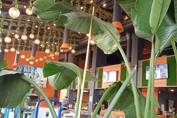 Körfez Restaurant İşletmeleri - Resim 17