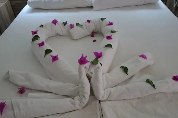 Narcis Apart Otel - Resim 17