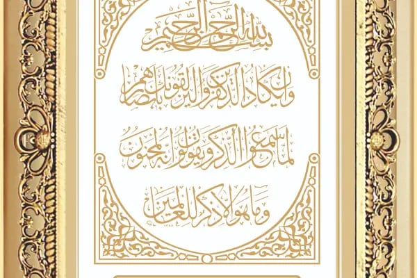 Rengin Promosyon - Resim 18