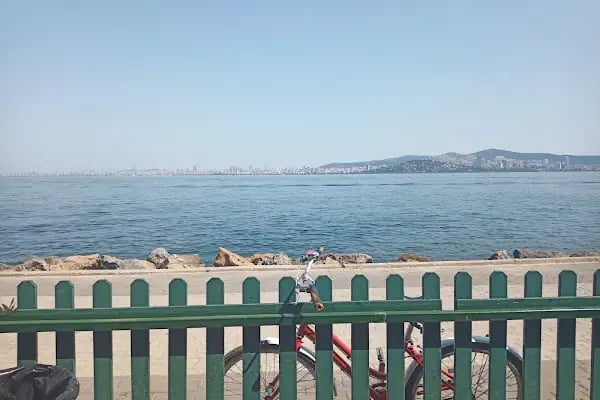 Tuğçe Can Cafe - Resim 3
