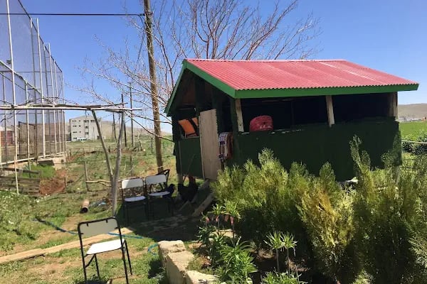 Afşin Sefer Sportif açık ve Kapalı Halı Saha - Resim 4