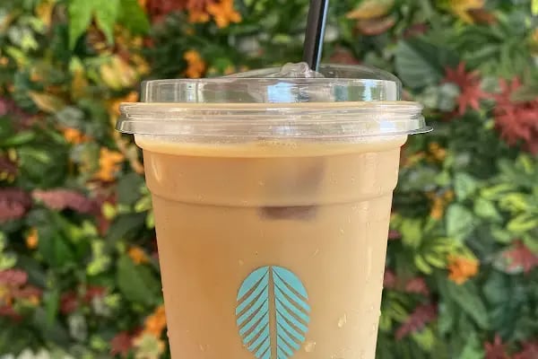 Palm Coffee Gazipaşa - Resim 8