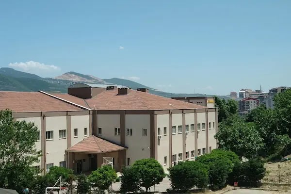 Gemlik Atatepe Ticaret Mesleki ve Teknik anadolu Lisesi - Resim 1