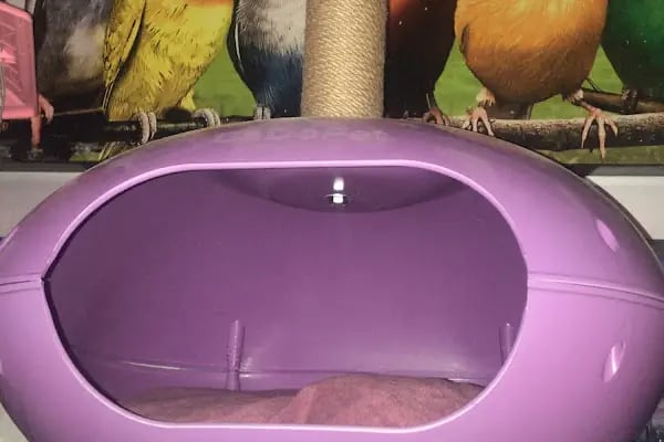 Ece Akvaryum Pet Shop - Resim 5