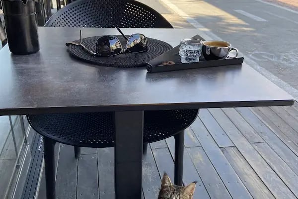 ZERO COFFEE - Resim 14
