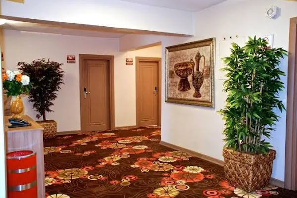 Otel Mithat - Resim 16