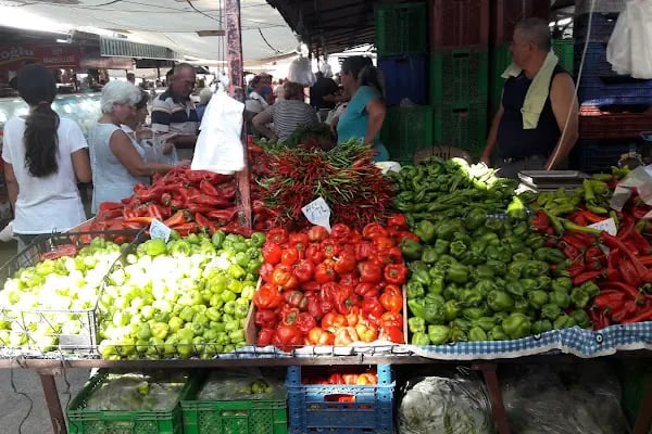 Turgutreis Eczanesi - Resim 7