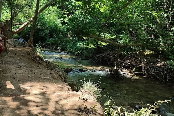 Su Sesi Kır Lokantası Malatya - Resim 8
