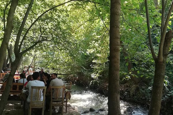 Su Sesi Kır Lokantası Malatya - Resim 15