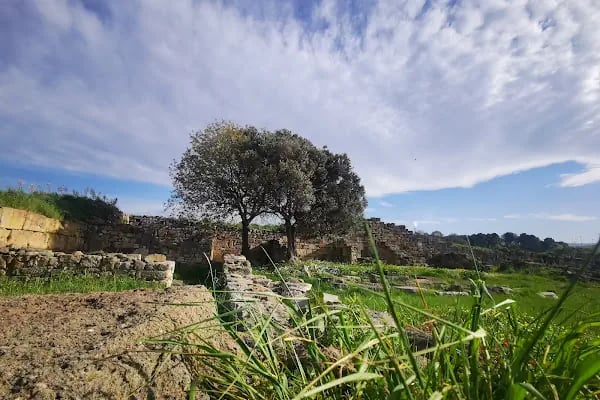 Kyme Antik Kenti - Resim 18