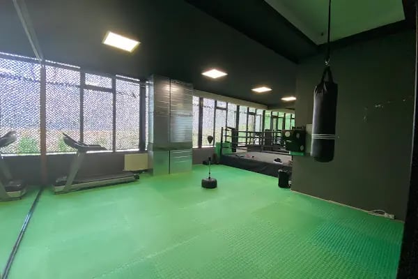 Ferhat Pehlivan️️️ Boxing - Resim 1