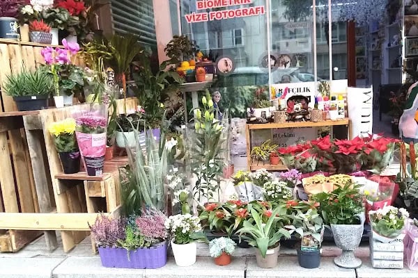Ceylan Çiçekçilik Poligon - Resim 10
