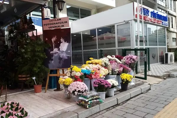 Ceylan Çiçekçilik Poligon - Resim 13