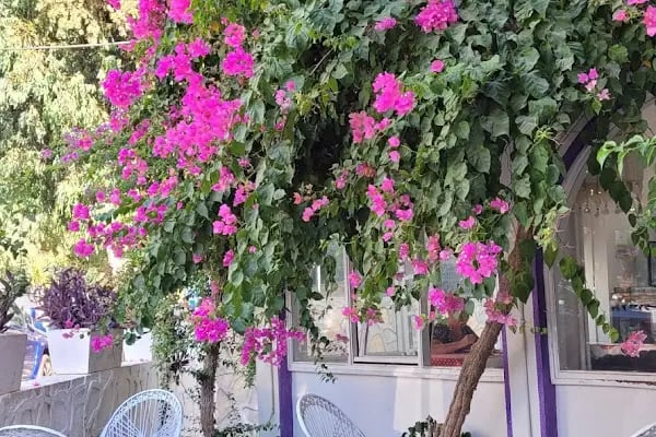 Bircan Otel - Resim 17