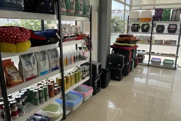 Avsallar Alara Veteriner Kliniği (Alanya-Avsallar Veteriner) / Tierarztpraxis / Pet Clinic / ветеринарная клиника - Resim 17