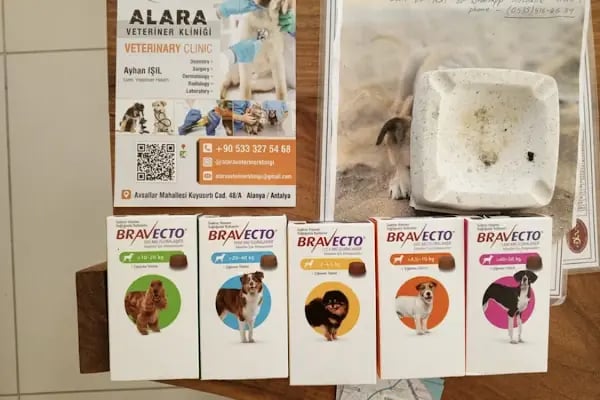 Avsallar Alara Veteriner Kliniği (Alanya-Avsallar Veteriner) / Tierarztpraxis / Pet Clinic / ветеринарная клиника - Resim 11