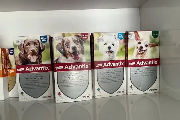 Avsallar Alara Veteriner Kliniği (Alanya-Avsallar Veteriner) / Tierarztpraxis / Pet Clinic / ветеринарная клиника - Resim 3