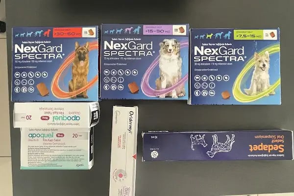 Avsallar Alara Veteriner Kliniği (Alanya-Avsallar Veteriner) / Tierarztpraxis / Pet Clinic / ветеринарная клиника - Resim 7