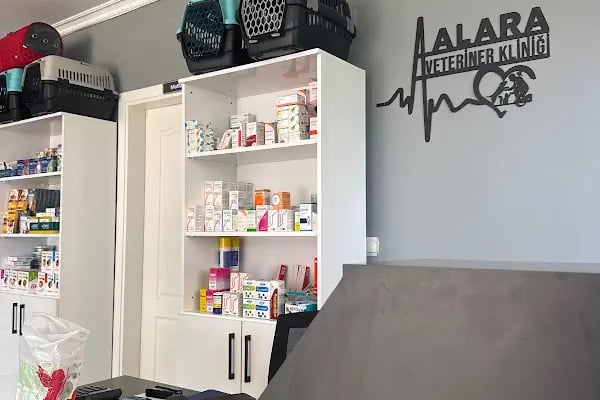 Avsallar Alara Veteriner Kliniği (Alanya-Avsallar Veteriner) / Tierarztpraxis / Pet Clinic / ветеринарная клиника - Resim 18