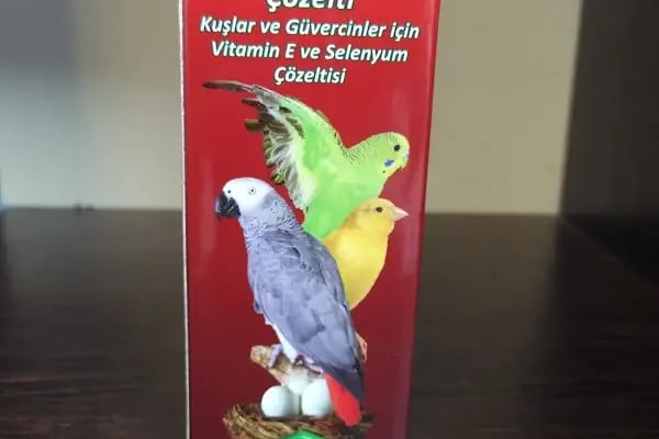 YAKAMOZ BALIK &amp; KUŞ - Resim 9