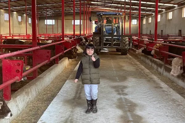 Korkmazlar Hayvancılık İşletmesi - Resim 18