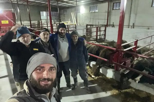 Korkmazlar Hayvancılık İşletmesi - Resim 16