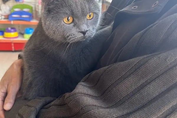 Uğur Veteriner Kliniği - Resim 18