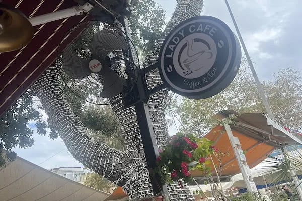 Lady Cafe - Resim 17