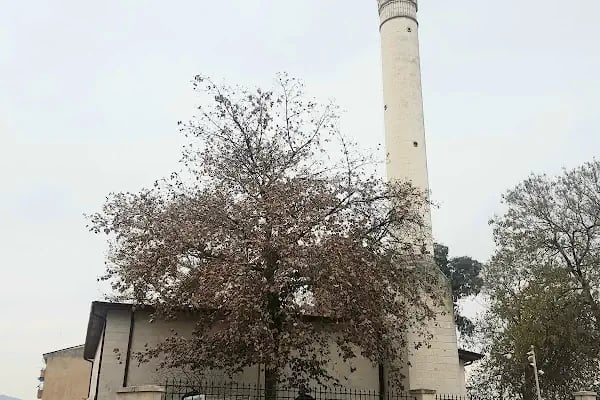 Tahtani Cami - Resim 5