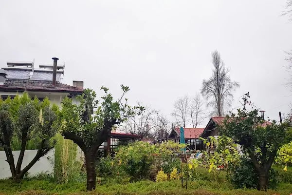Kaan Olta Balık Restorantı - Resim 15