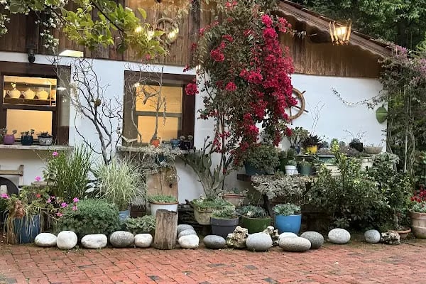 Kaan Olta Balık Restorantı - Resim 7